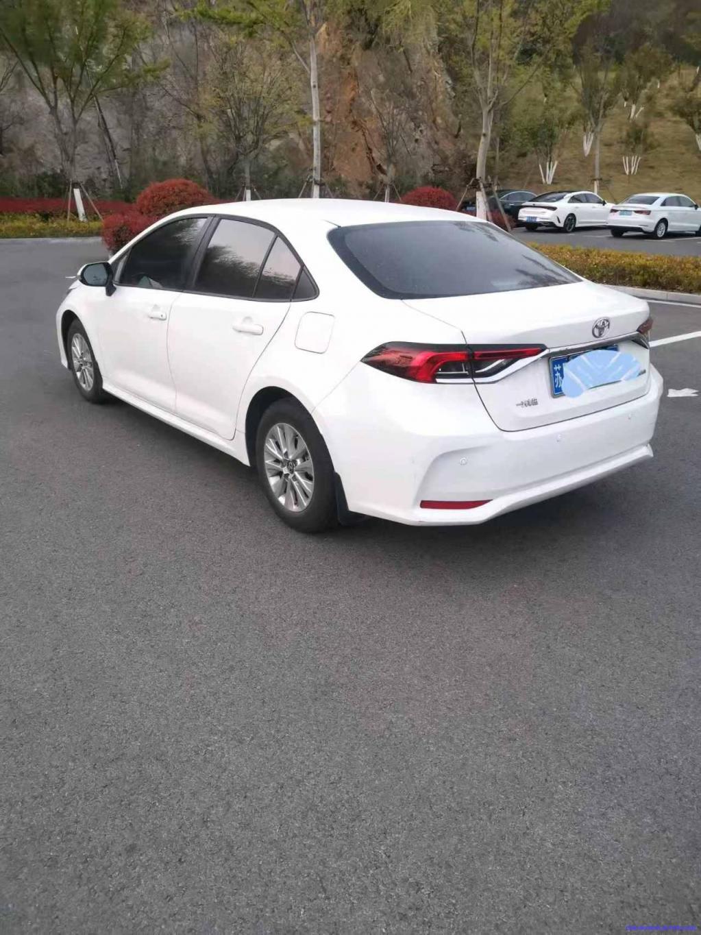 Car Image 3