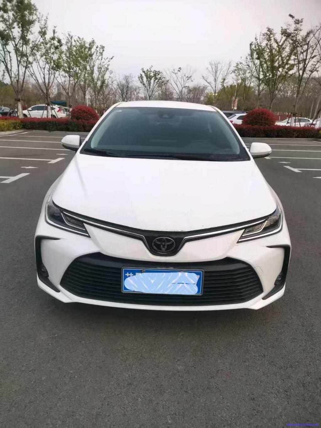 Car Image 5